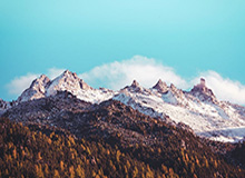 《面包人冒险》版本更新