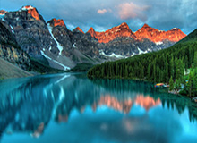 《面包人冒险》版本更新